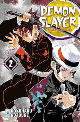 Demon Slayer Kimetsu No Yaiba - Vol. 2